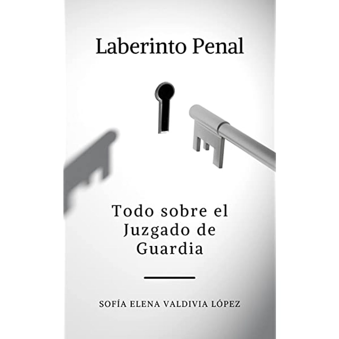 Books Sofía Elena Valdivia López - TODO SOBRE EL JUZGADO DE GUARDIA: LABERINTO PENAL 