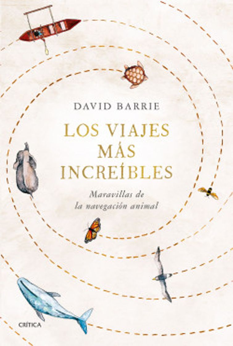 Book LOS VIAJES MÁS INCREÍBLES - DAVID BARRIE