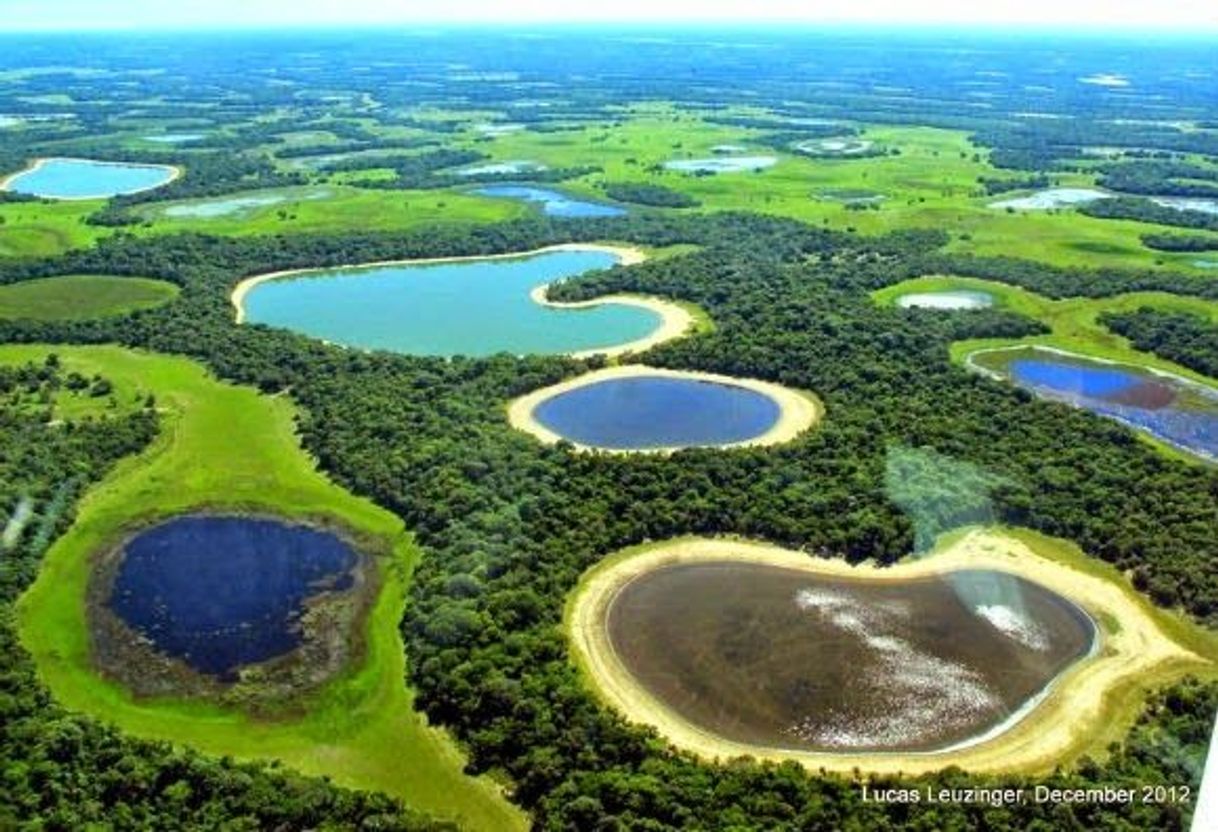 Place Parque Nacional do Pantanal Mato-Grossense