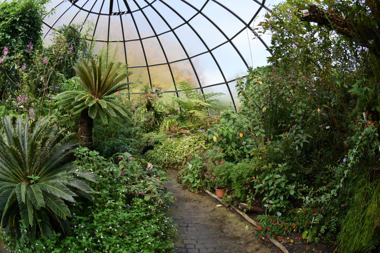 Places Jardín Botánico de Zúrich