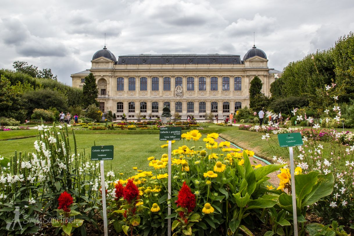 Lugares Jardin des Plantes