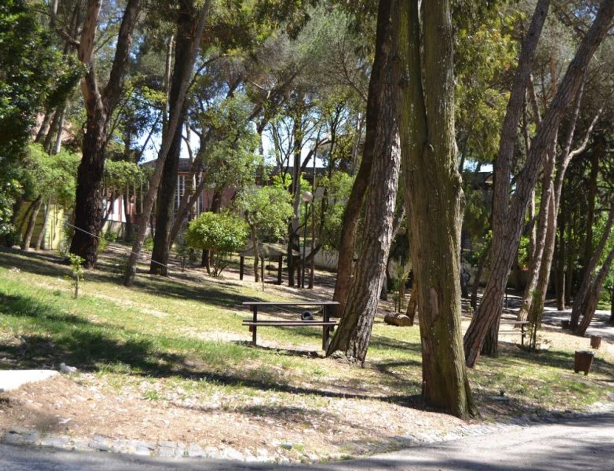 Place Parque Silva Porto / Parque Grão Vasco / Mata de Benfica