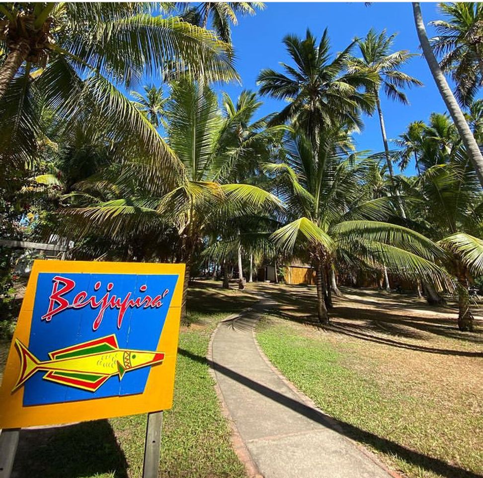 Restaurants Beijupirá Praia dos Carneiros