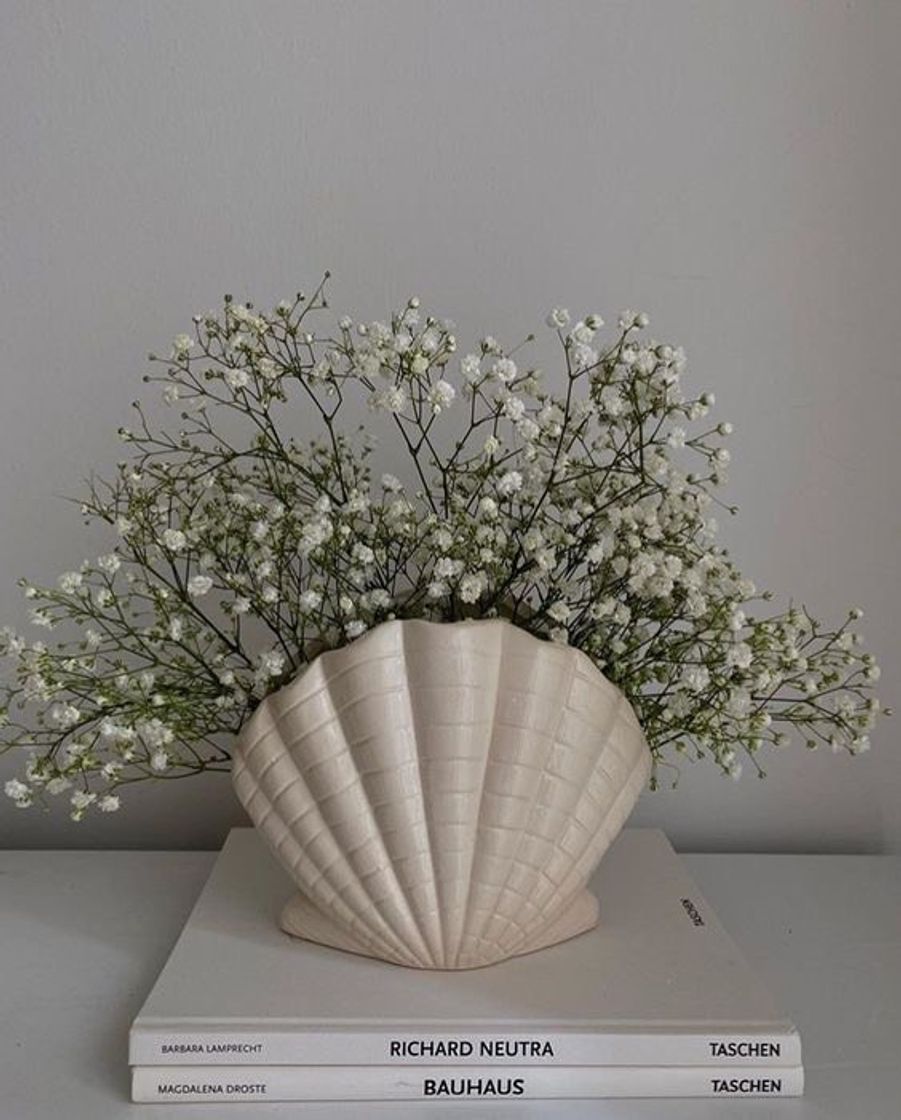 Product Shell flower  vase 