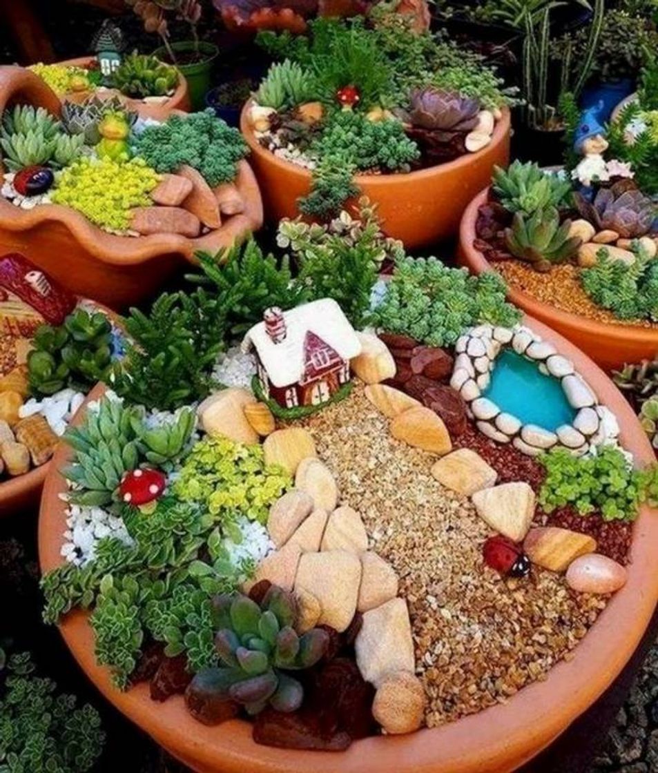 Fashion Mini jardin