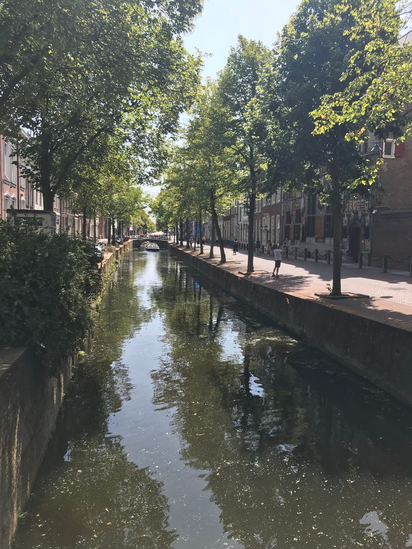 Place Delft