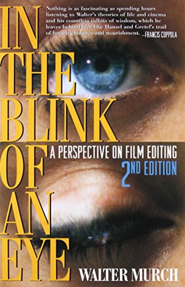 Libro In the Blink of An Eye