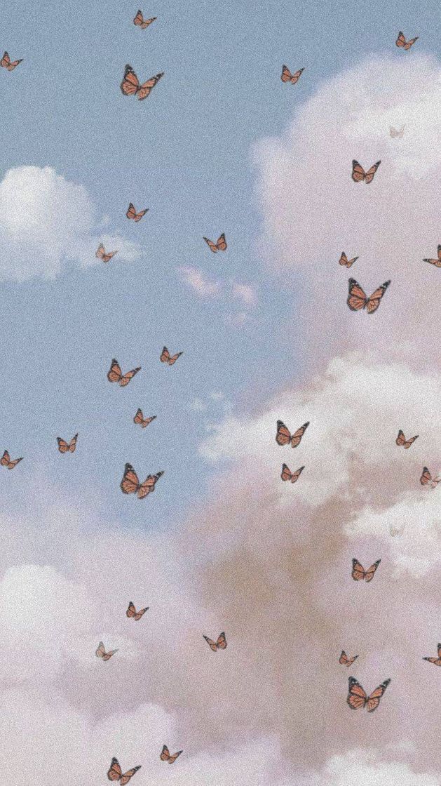 wallpaper