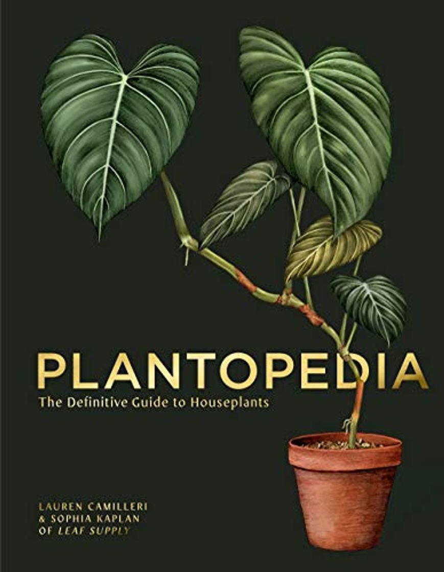 Book Plantopedia: The Definitive Guide to House Plants