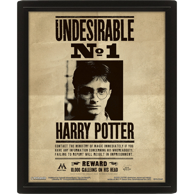 Social Cuadro Harry Potter Harry & Sirius 3D · Regalos originales · El Corte ...