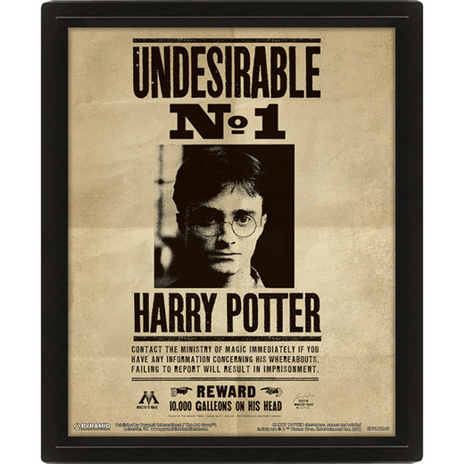 Cuadro Harry Potter Harry & Sirius 3D · Regalos originales · El Corte ...