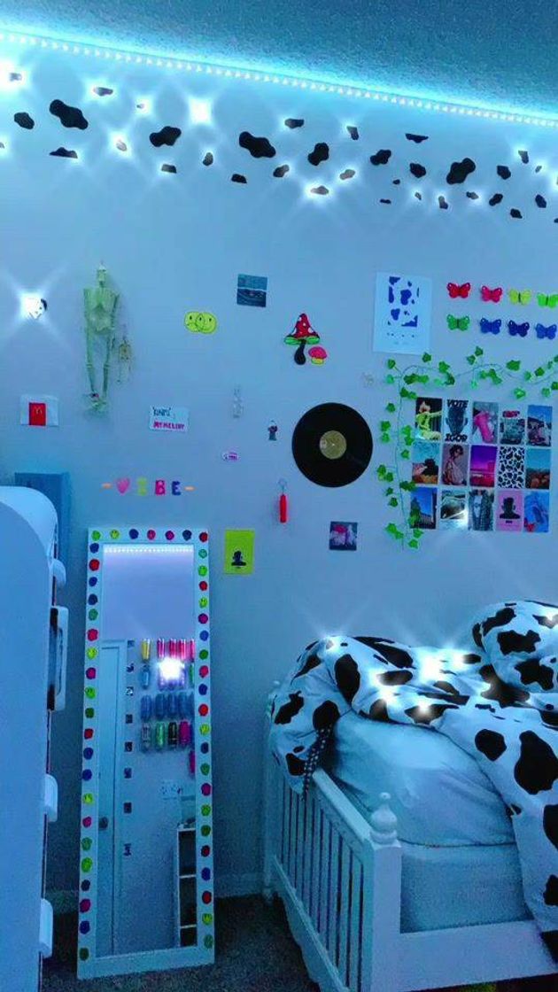 Social Quarto