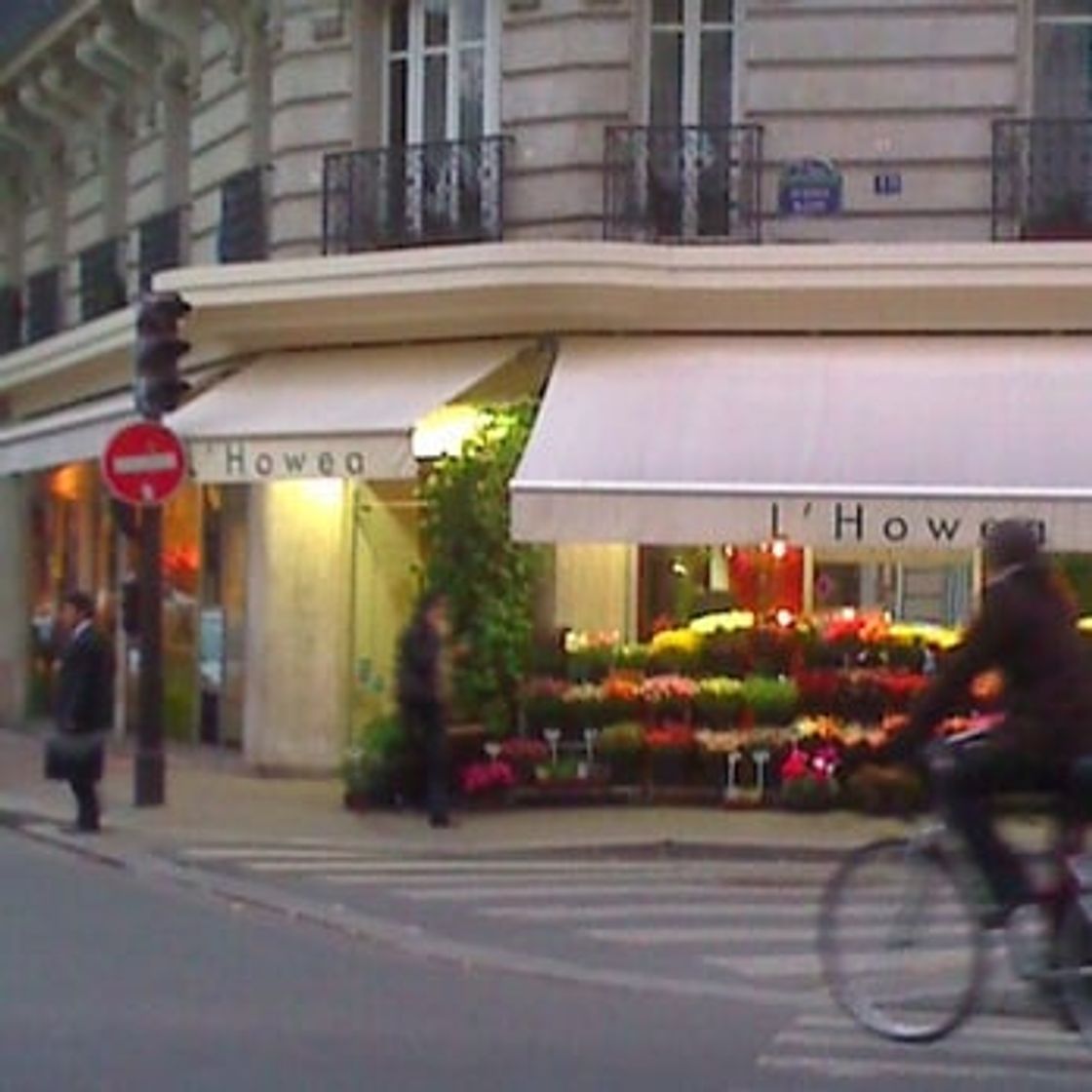 Place L'Howea