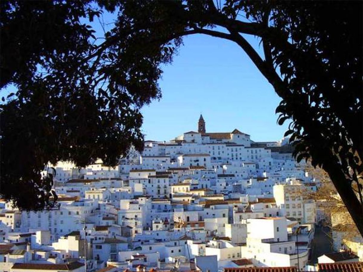 Places Alcalá de los Gazules