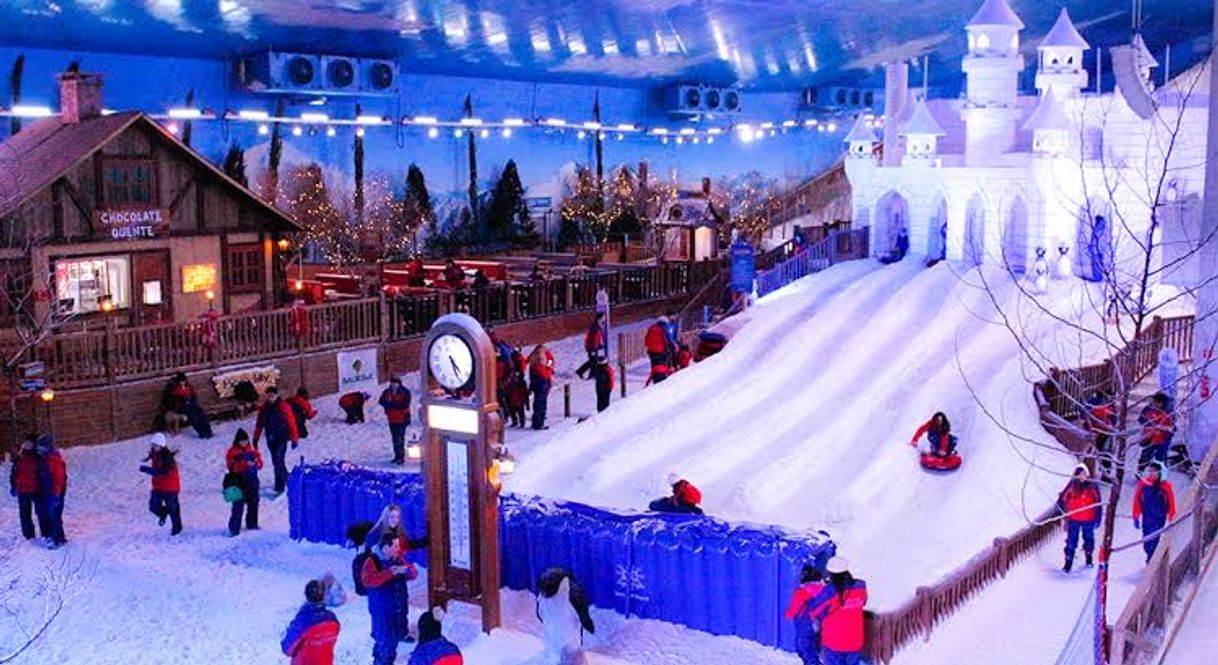 Place Snowland