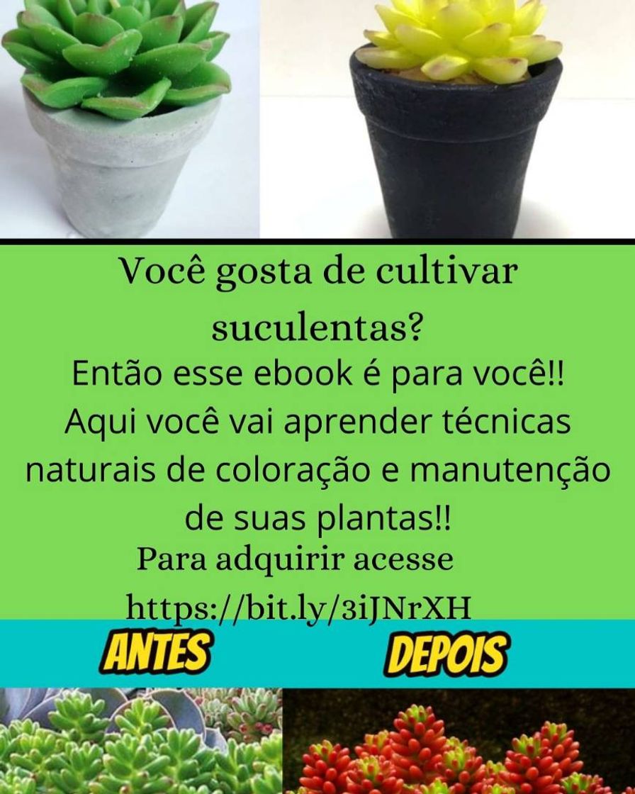 Fashion Ebook sobre plantas