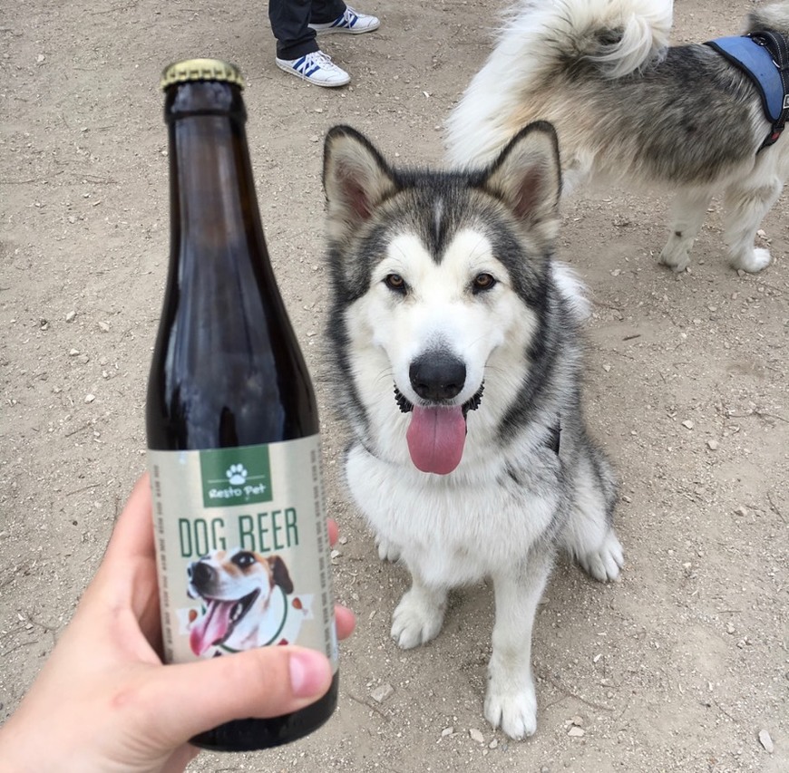 Moda Cerveza para perros