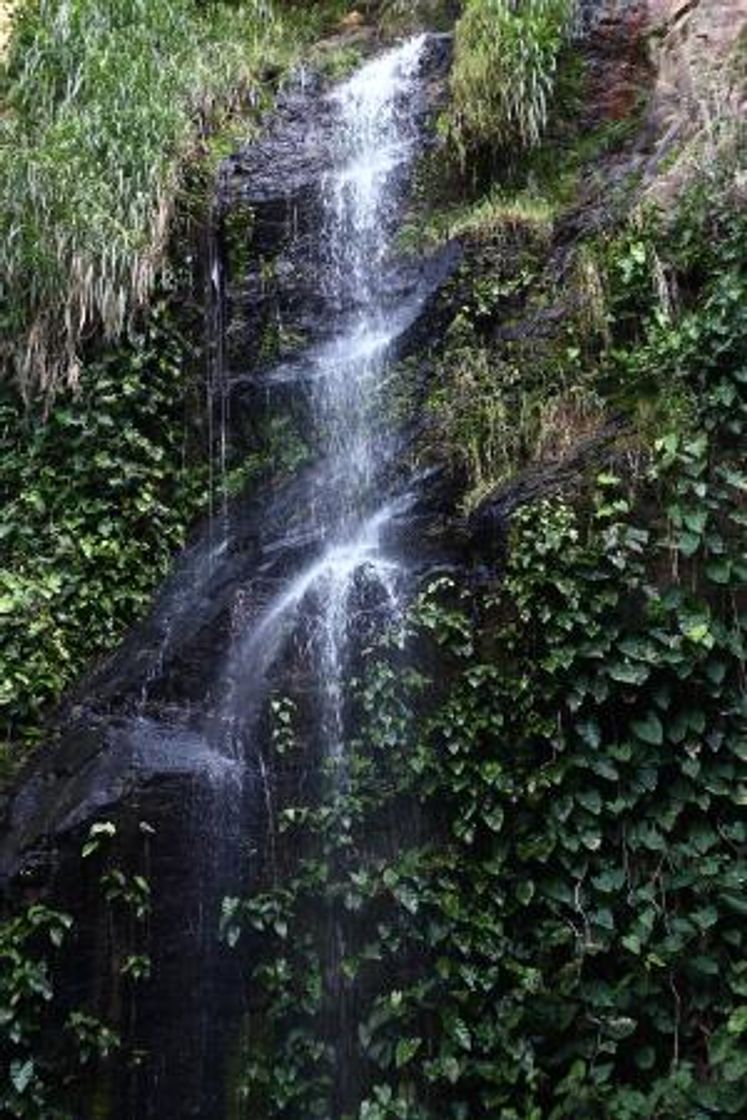 Place Cachoeira Do Pinga