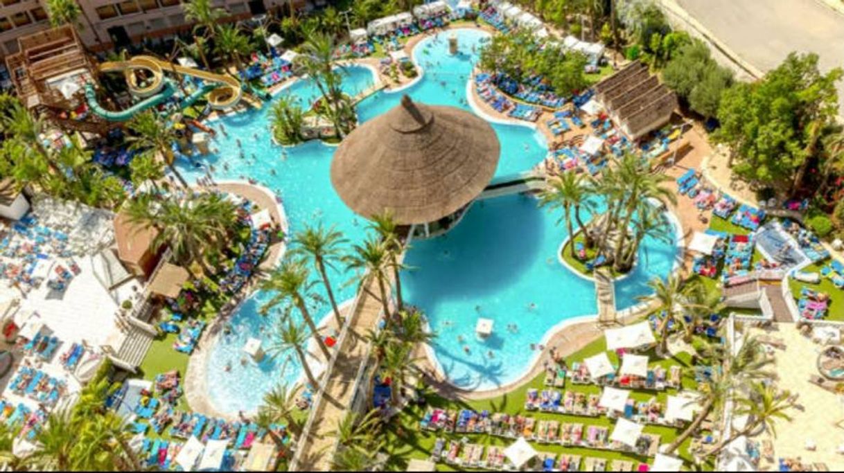 Lugar Apartotel Magic Tropical Splash Water Park, Spa & Caribbean Resort