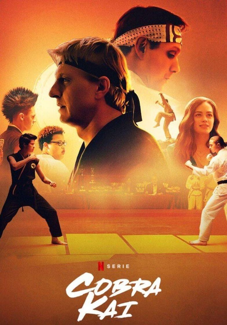 Serie Cobra kai |Netflix 