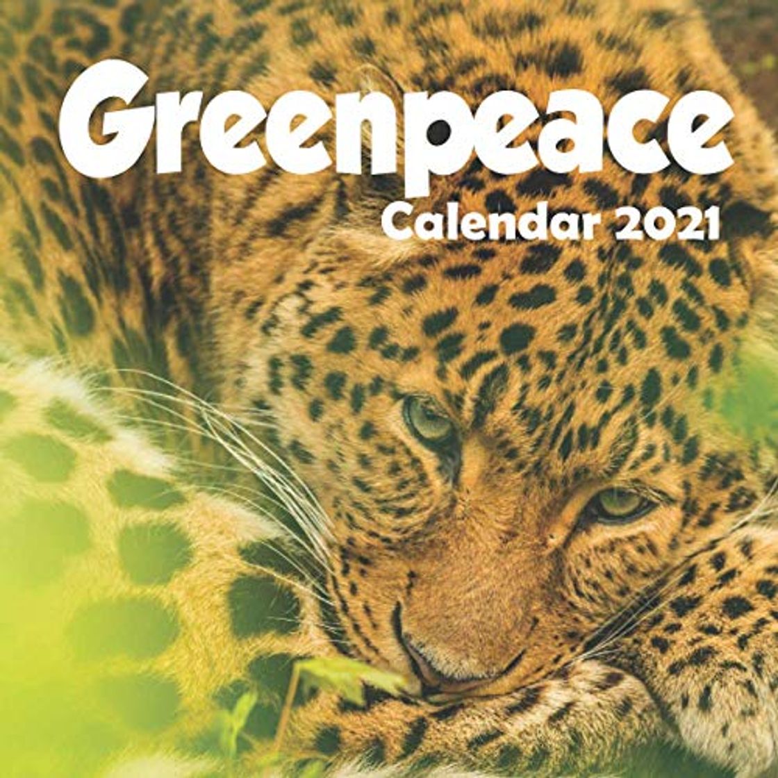 Libro Greenpeace: 2021 Wall Calendar - 8