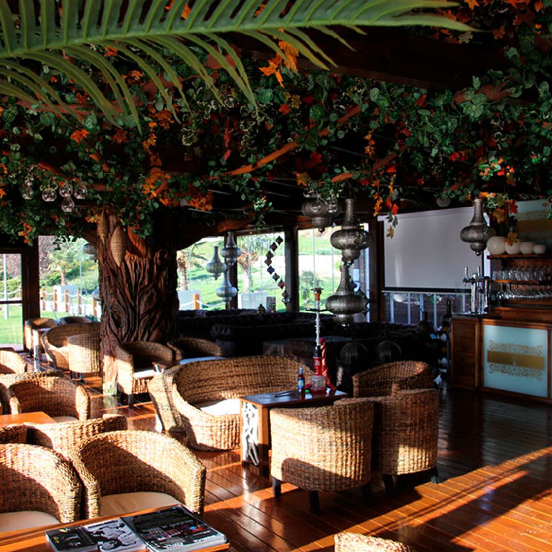 Restaurants Eden Hawaiano en Rivas-Vaciamadrid. Coctelería | Guía del Ocio