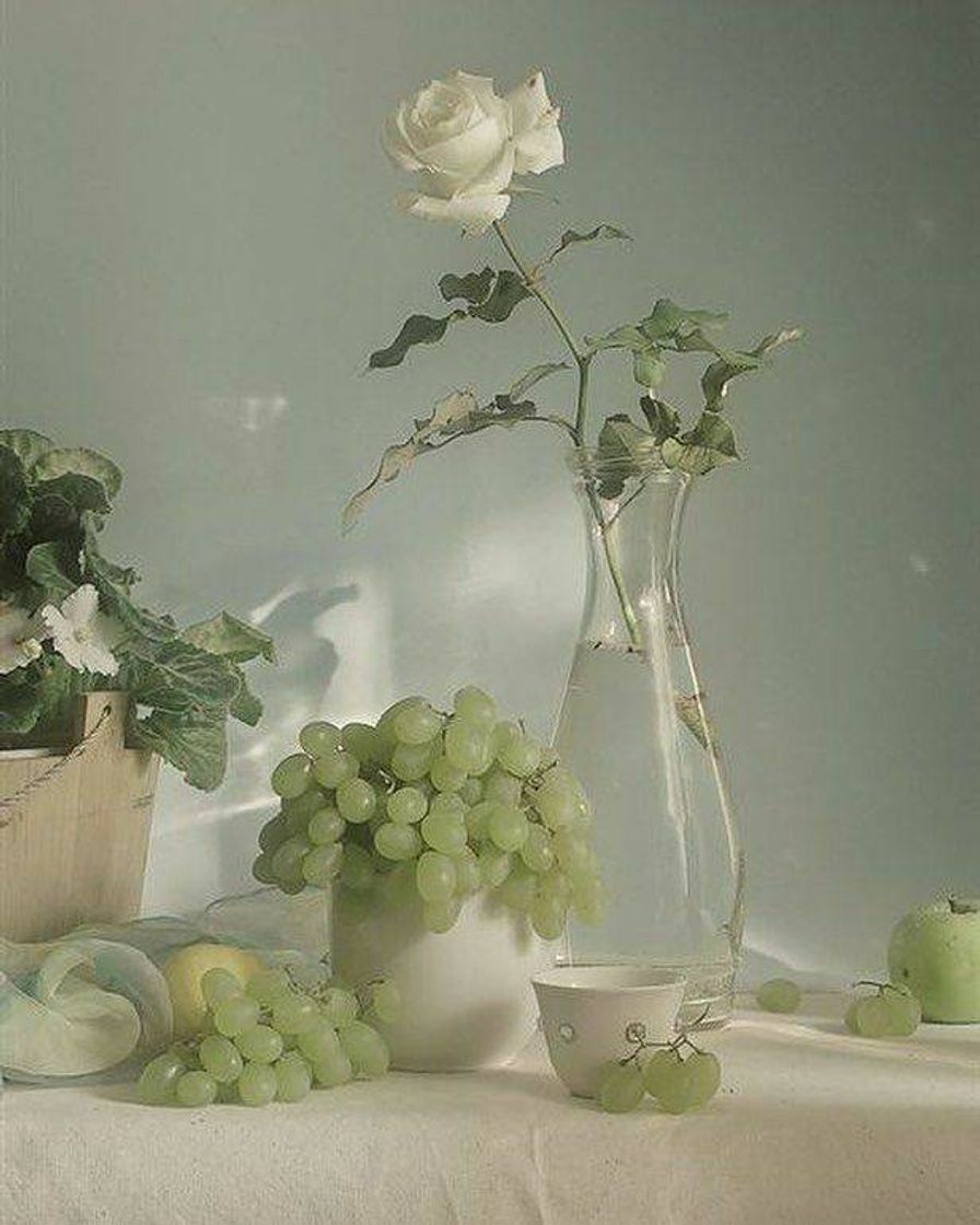 Social green aesthetic 