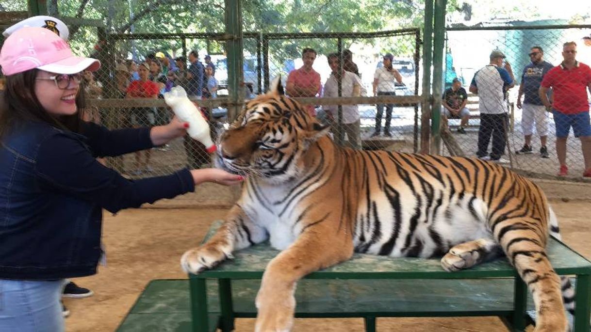 Place Zoológico de Luján