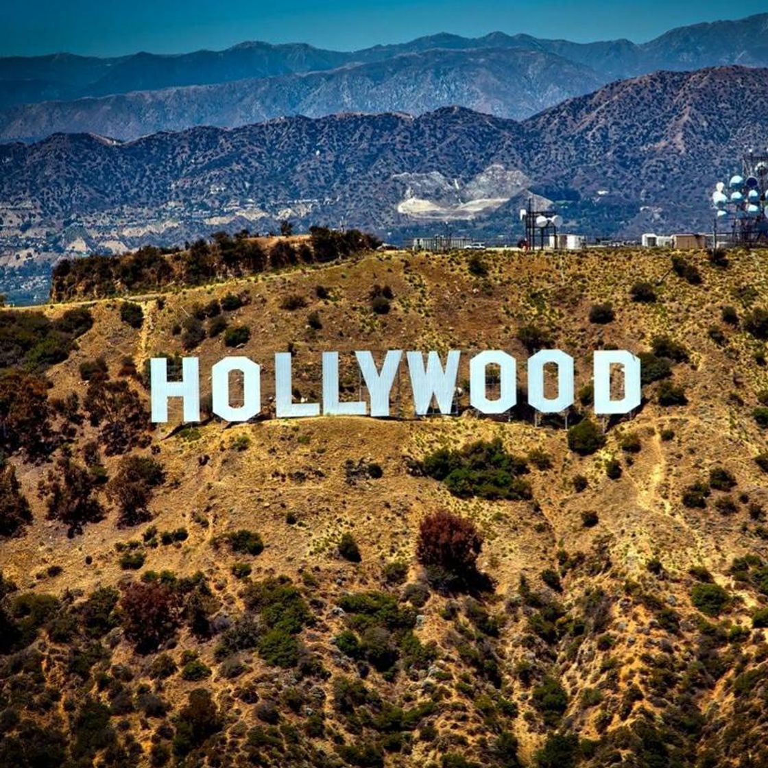 Place Hollywood Sign