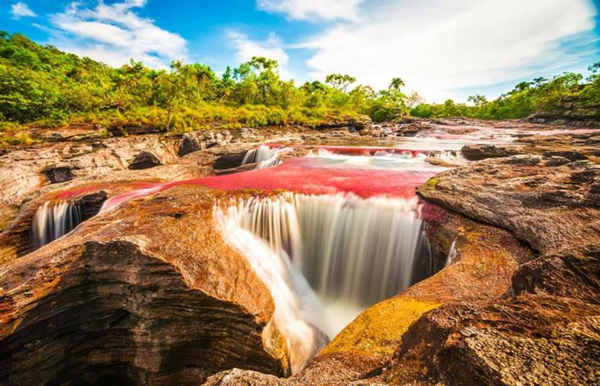 Place Caño Cristales