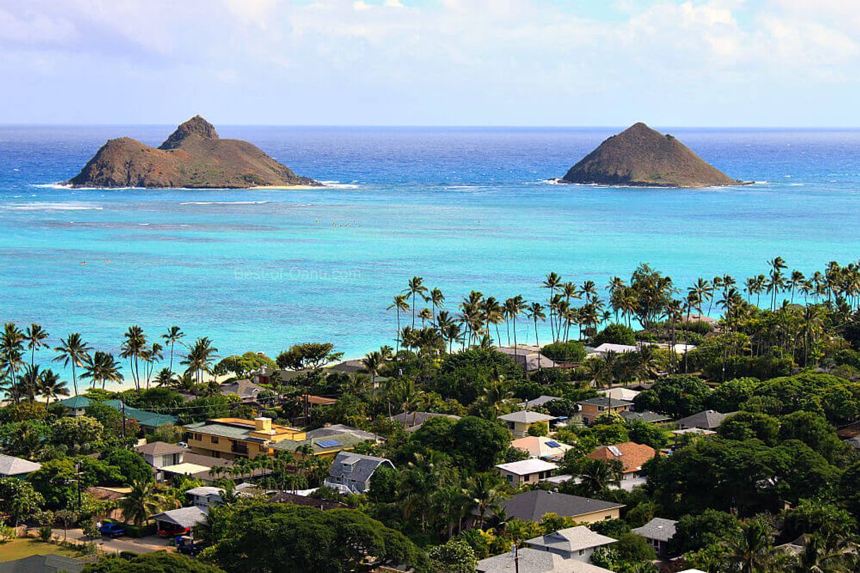 Place Lanikai Beach