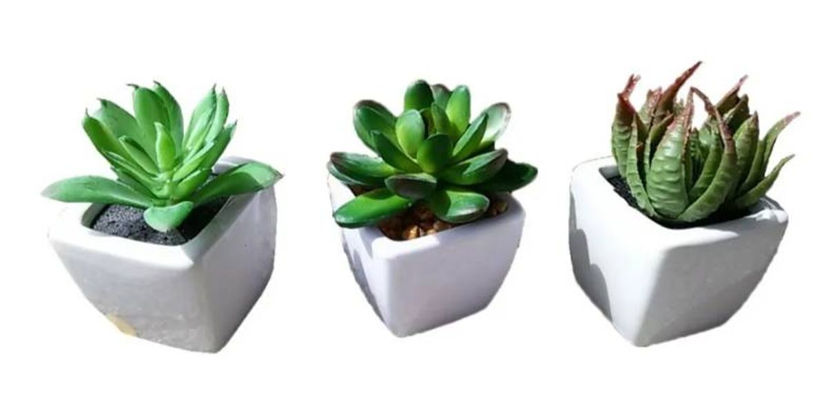 Fashion Kit 3 Plantas Mini Suculentas Artificiais Vaso Cerâmica R.03