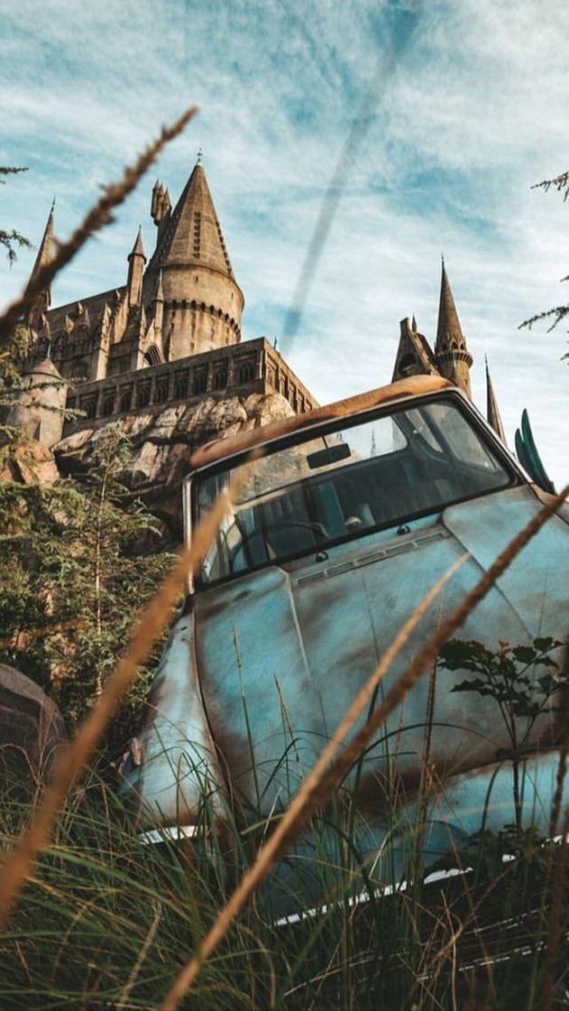 Social Harry Potter Wallpaper 
