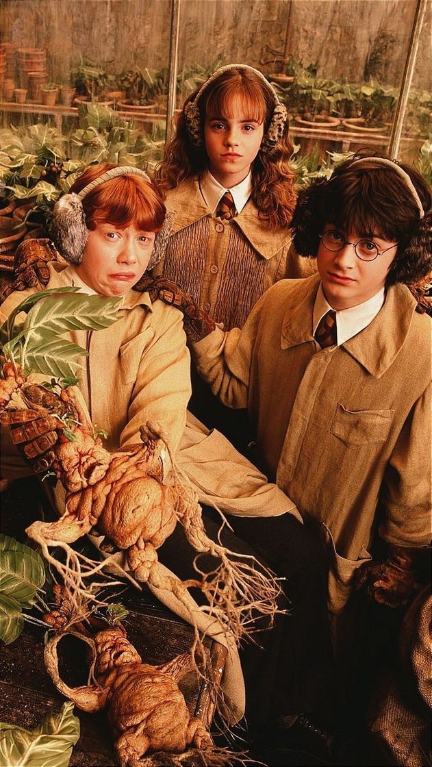 Social Rony, Herminone e Harry Wallpaper