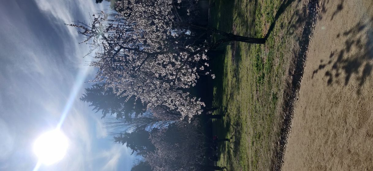 Place Parque de la Quinta de los Molinos