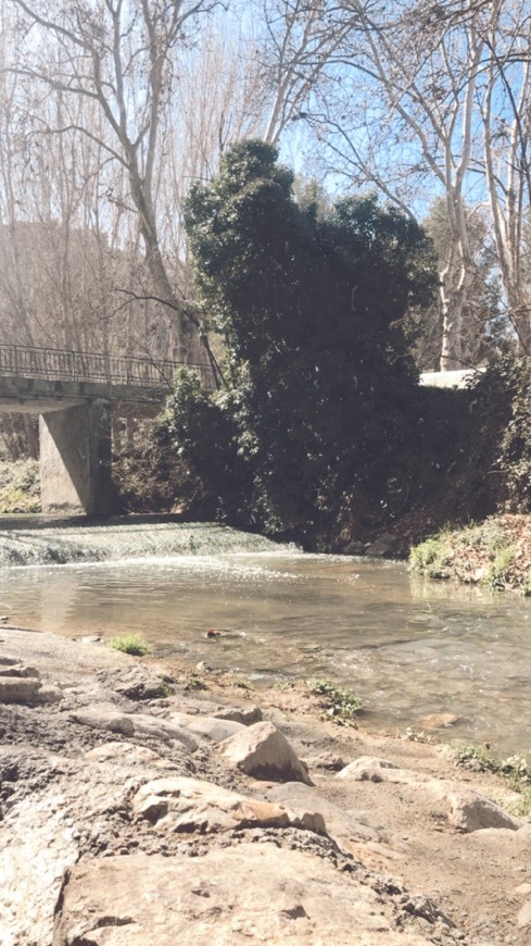 Place Balneario Alhama De Granada