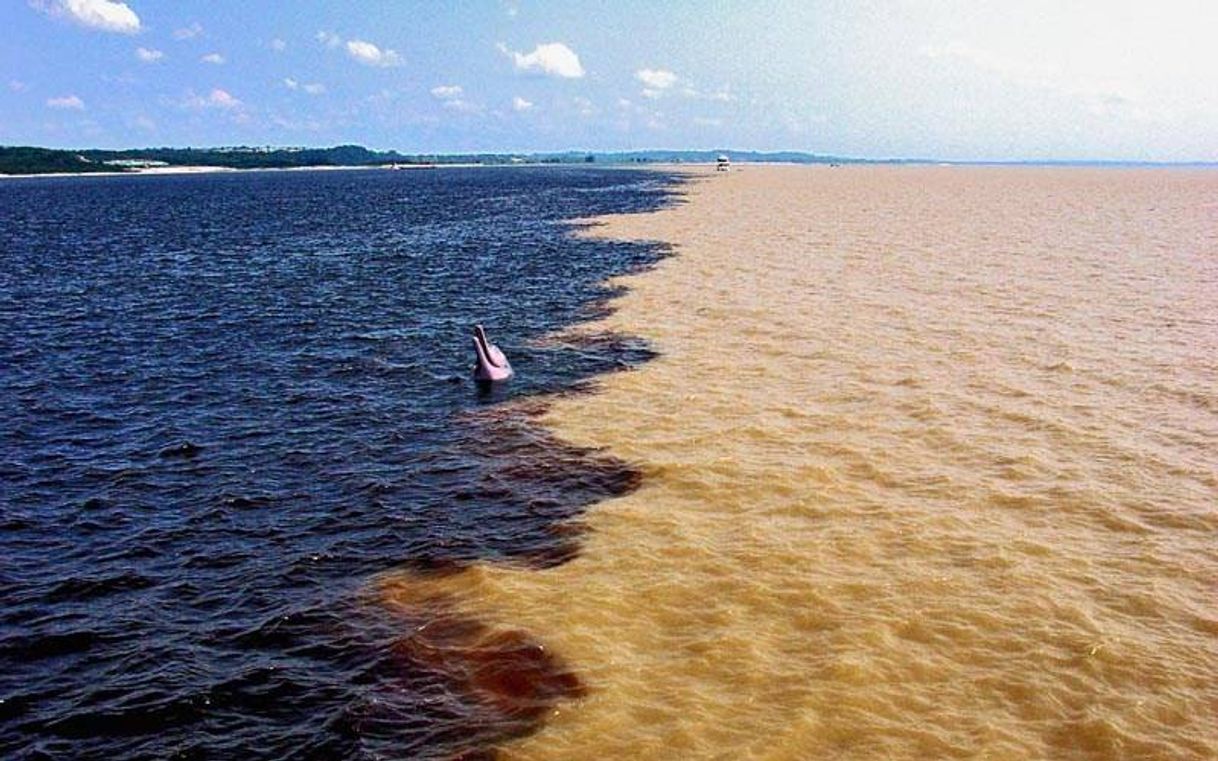 Lugar Rio Amazonas