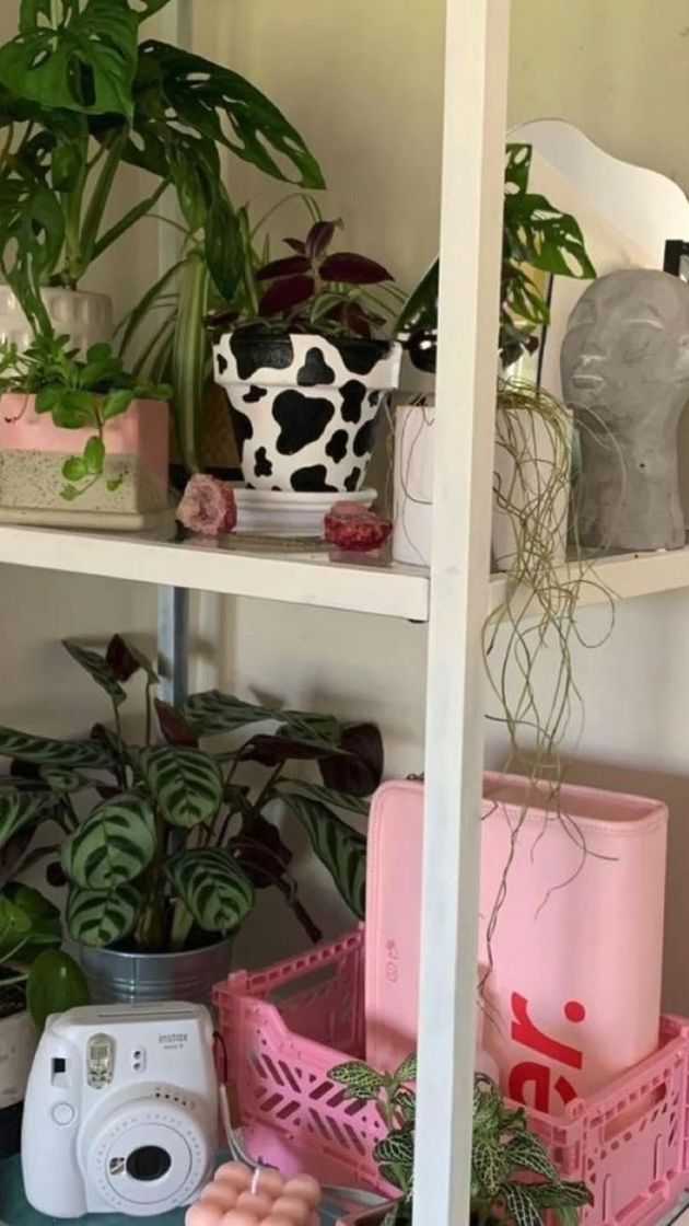 Moda Decoração do quarto🌷