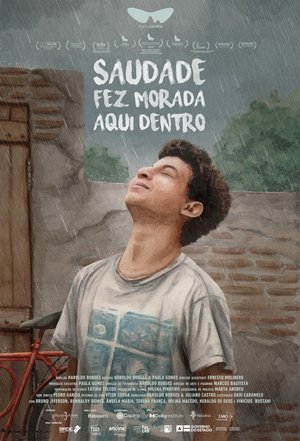 Película Cuando la luz se apaga