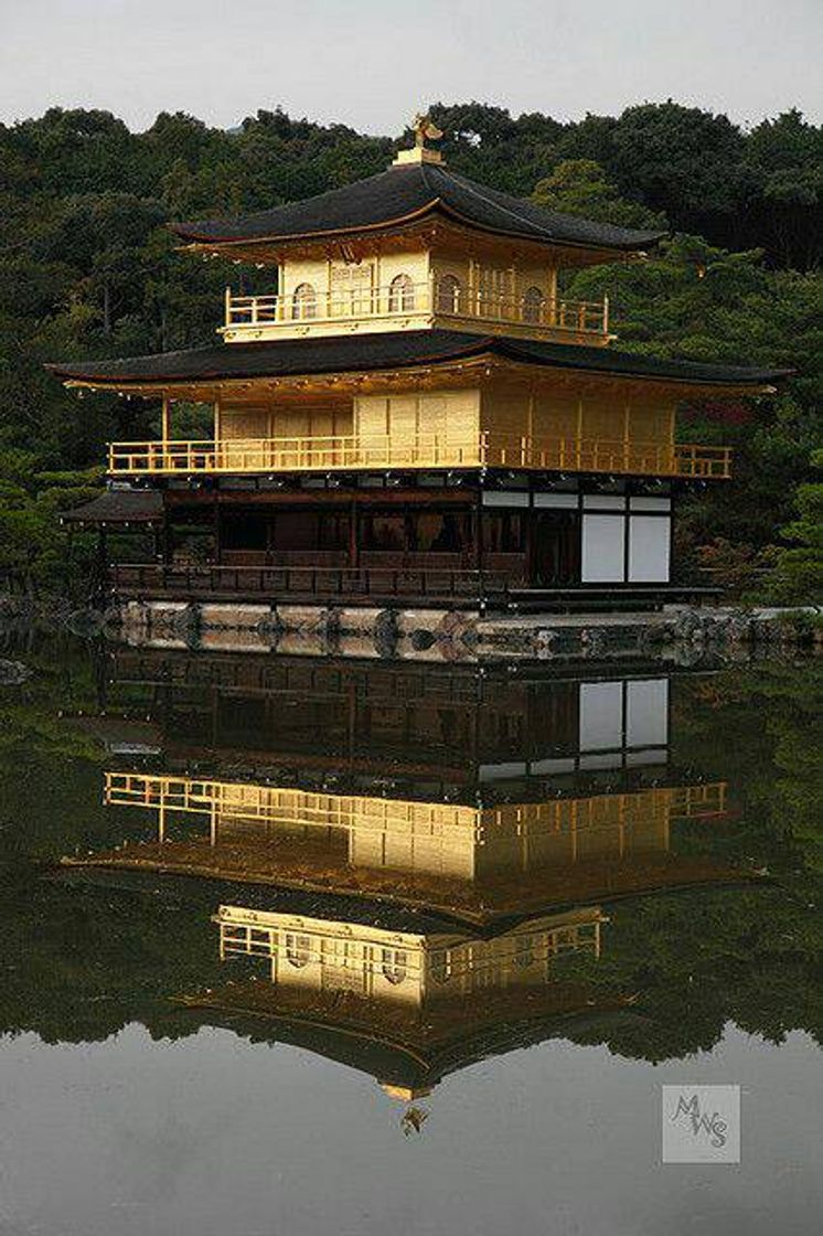 Moda Kinkaku-ji