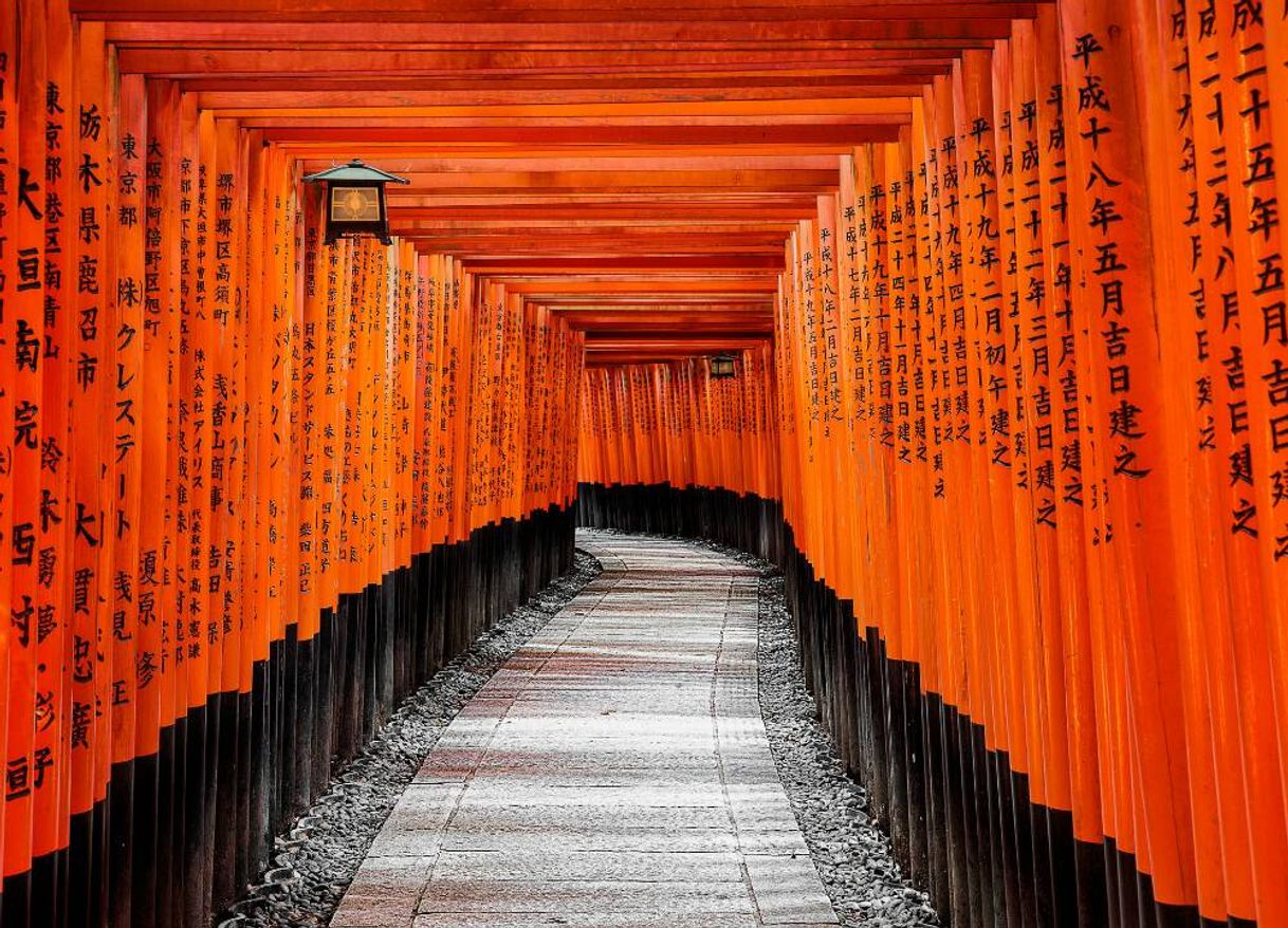 Fashion Fushimi Inari-taisha

