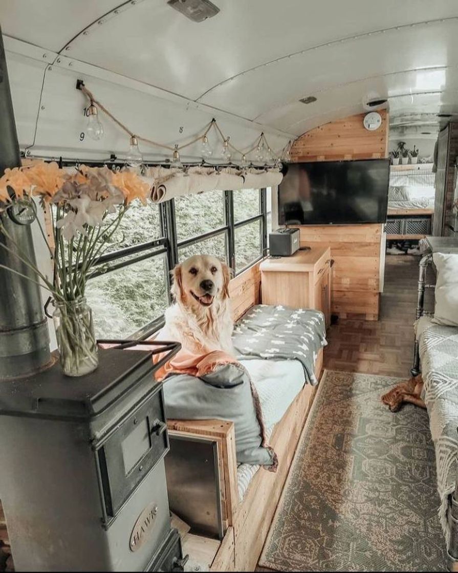 Moda interior de motor home+ doguinho