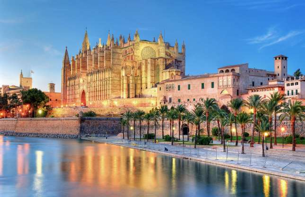 Lugar Catedral-Basílica de Santa María de Mallorca