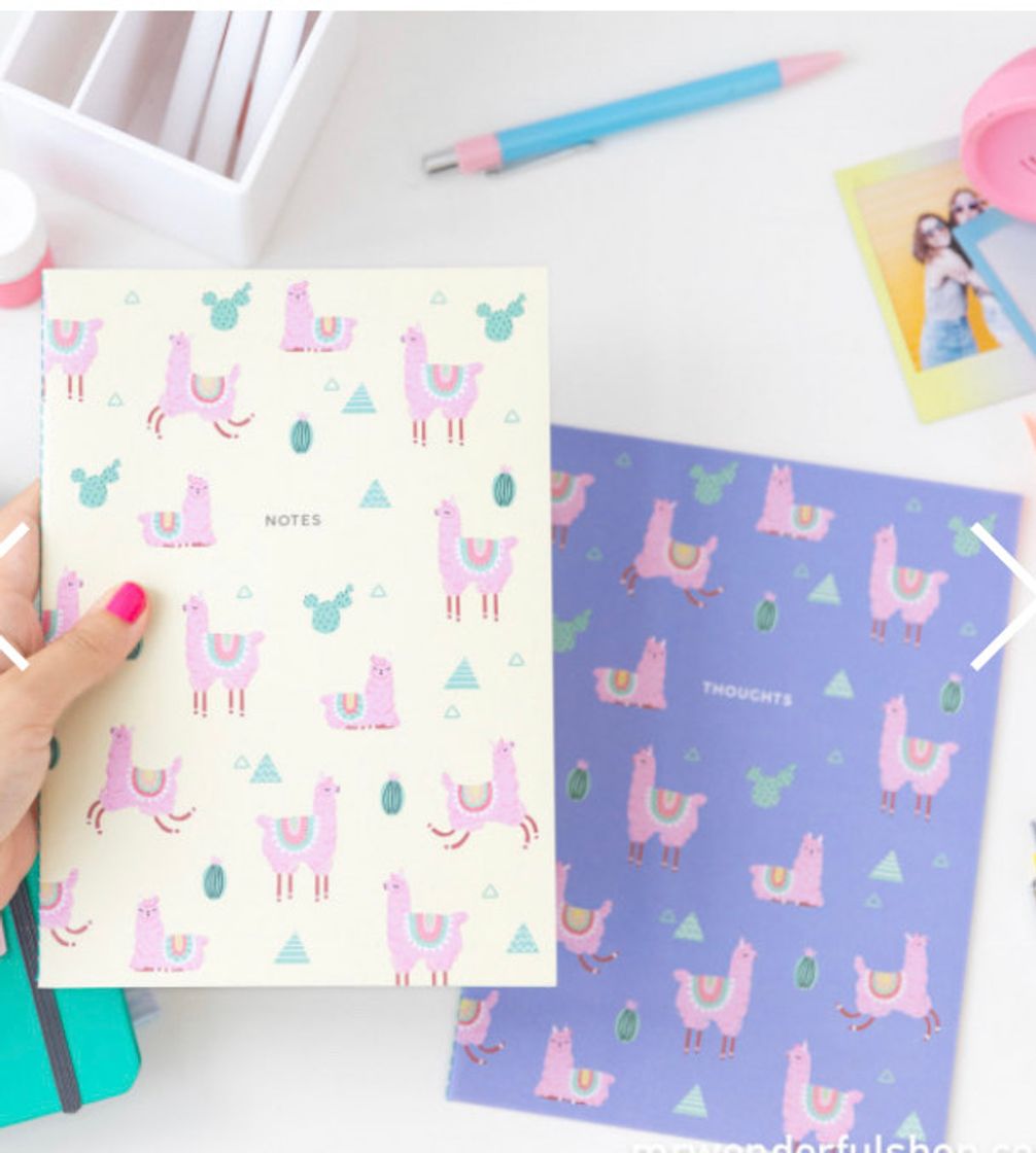 Moda Set de 2 libretas - Llama Collection - Mr. Wonderful