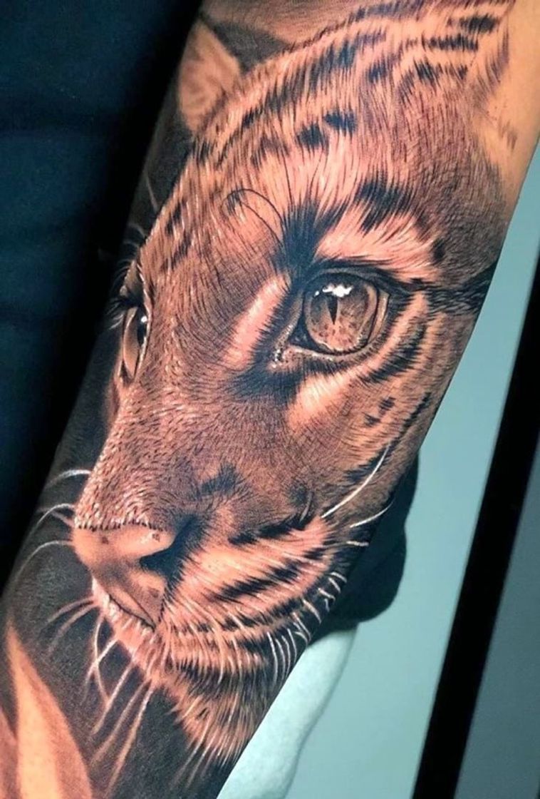 Moda Tatuagem felina