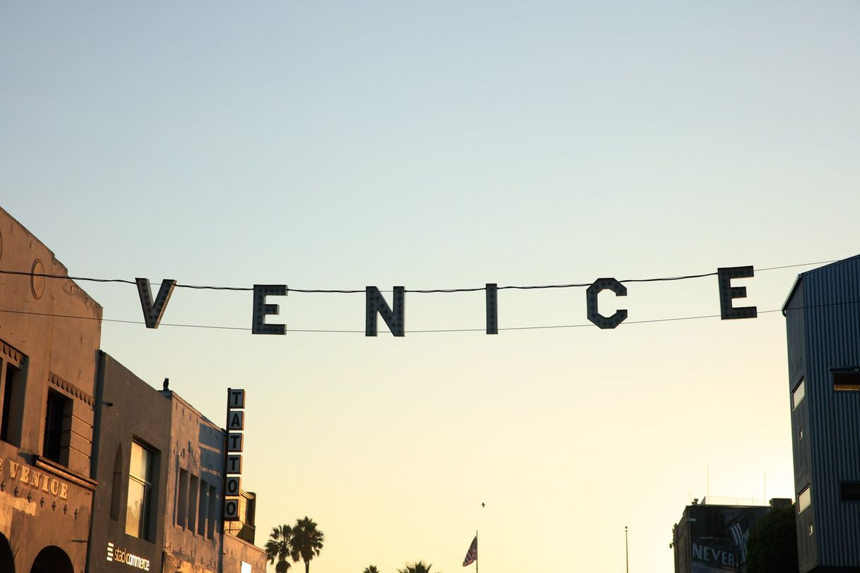 Place Venice Beach
