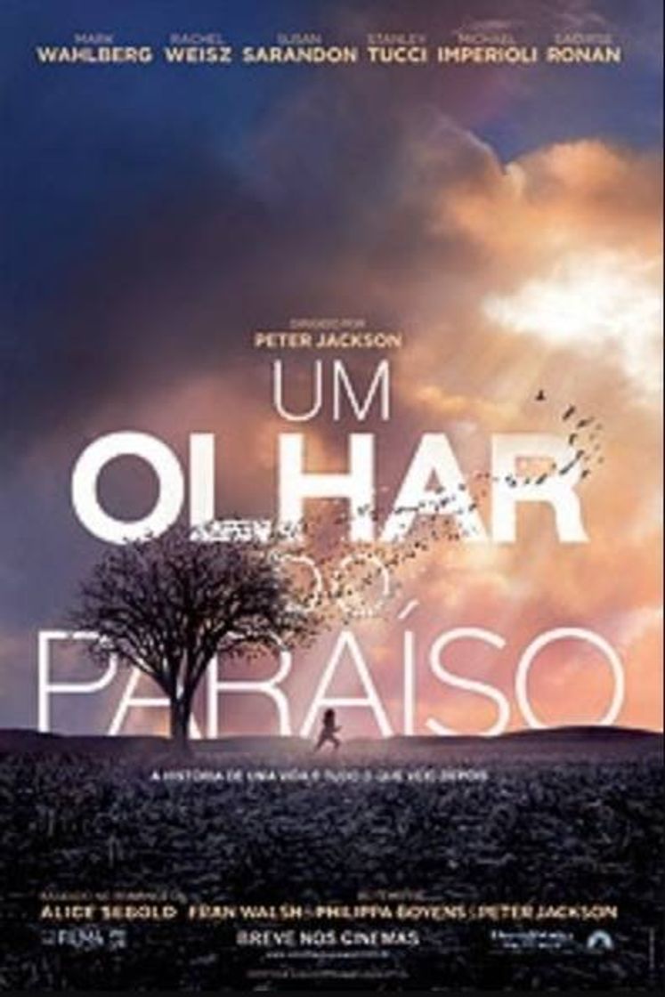 Movies Um Olhar do Paraíso: Confira o Trailer - YouTube