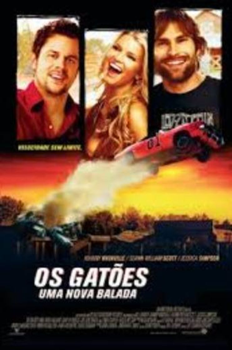 Movie Os Gatões - YouTube