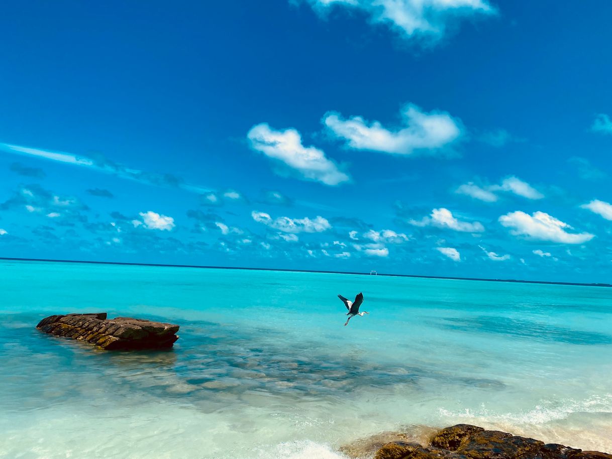 Places Fulidhoo Island