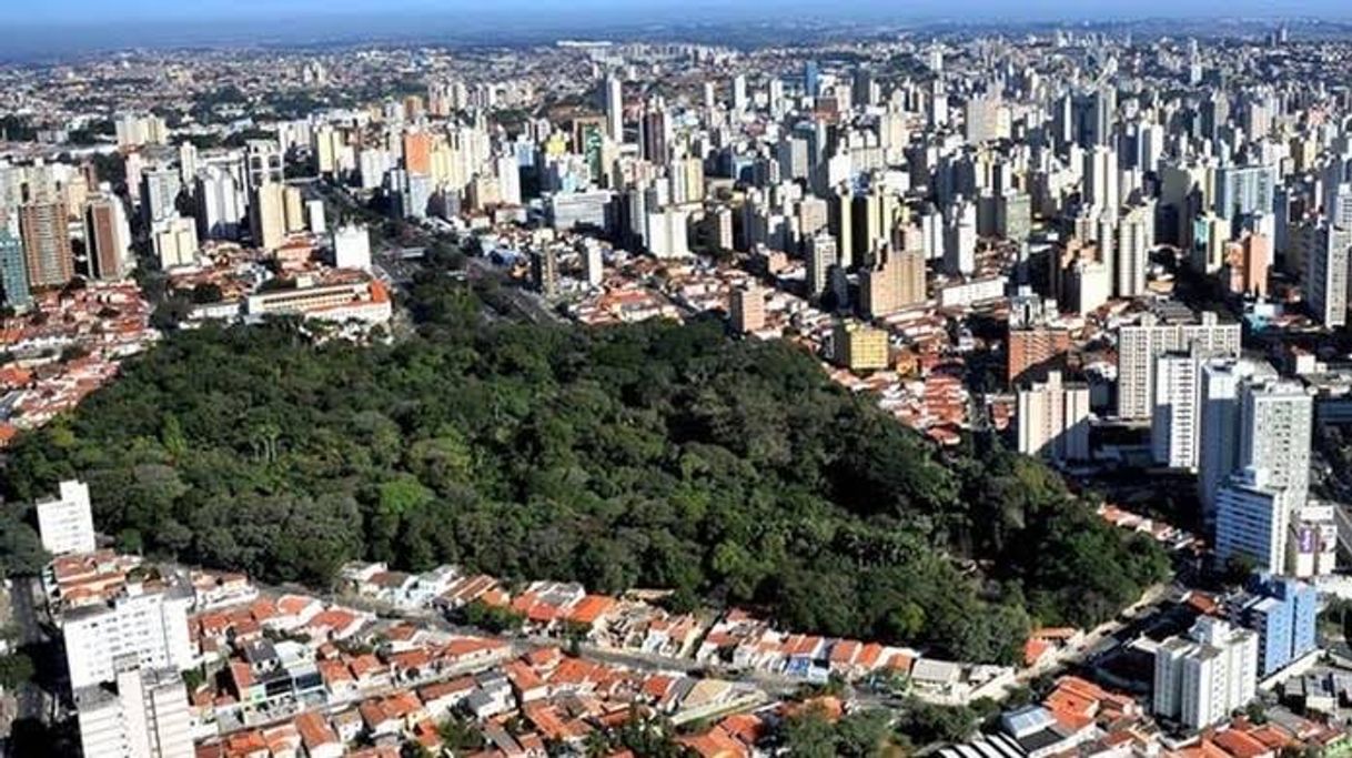 Place Campinas
